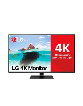 Monitor LG 43"