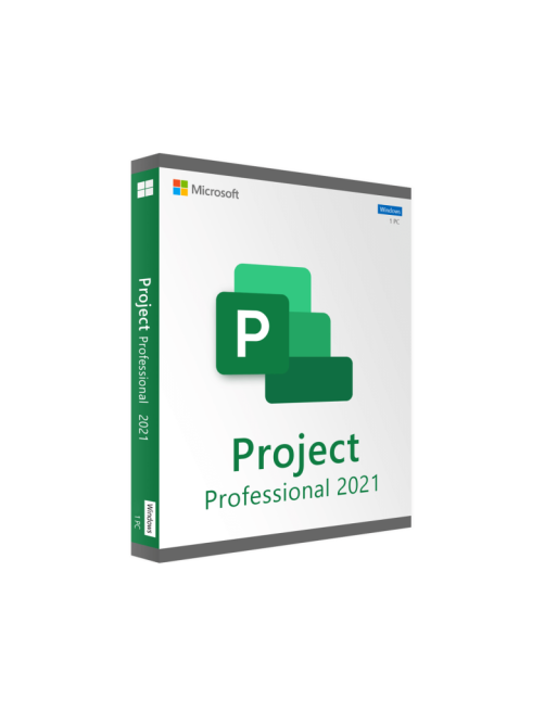 Project Pro 2024 ESD