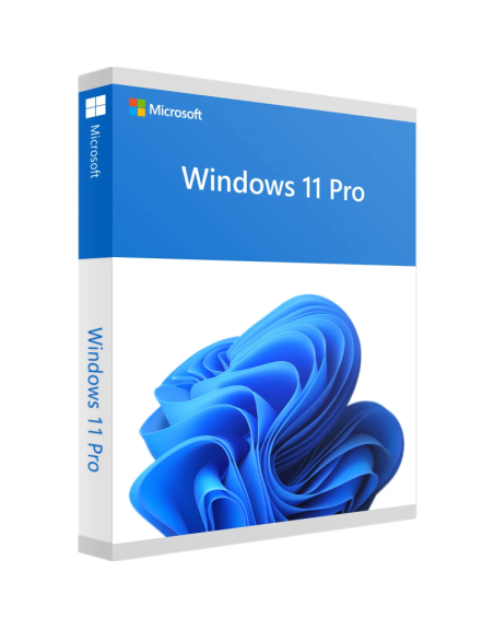 Windows Pro 11