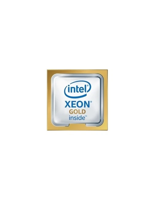 Procesador Intel Xeon Gold 5315Y