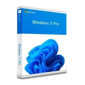 Microsoft Windows 11 Pro OEM — 64 bits, DVD